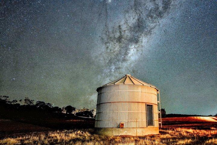 Visite de la faune de Perth sous les étoiles avec dîner