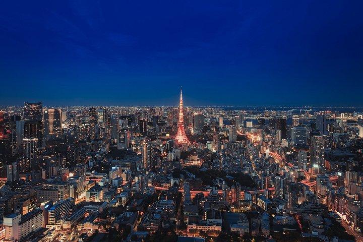 東京プライベートツアー：チームラボボーダレス＆東京シティビュー