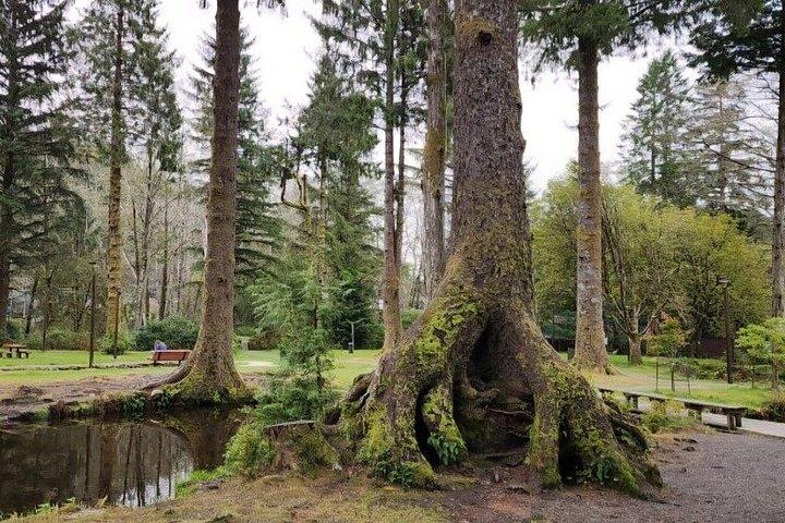 Small-Group Ketchikan Sightseeing Tour
