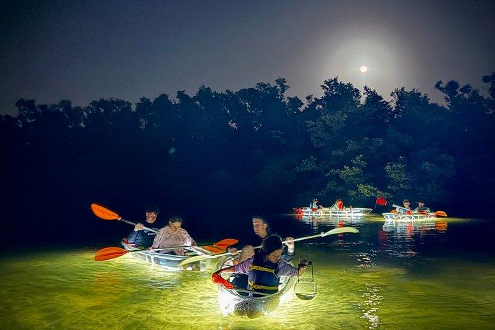 グローボートサンセットグロークリアカヤックツアー（アンナマリア島）