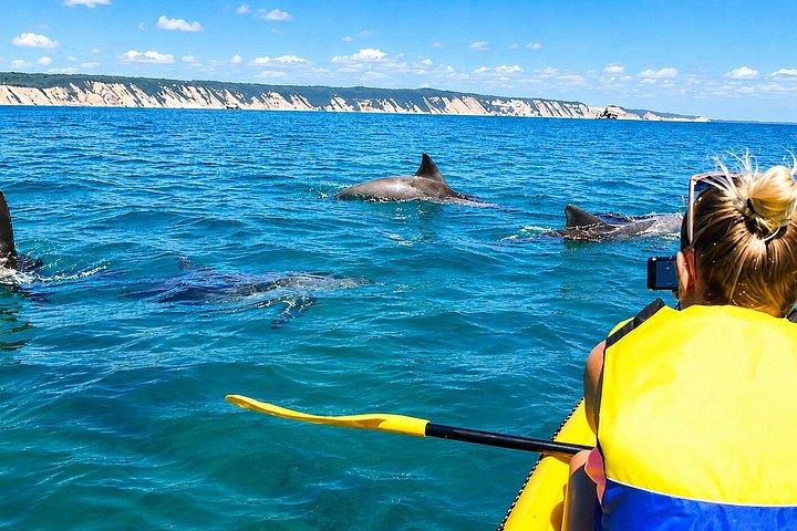 Noosa : Epic Whale Watching On Ocean カヤック＆ビーチ4X4ツアー