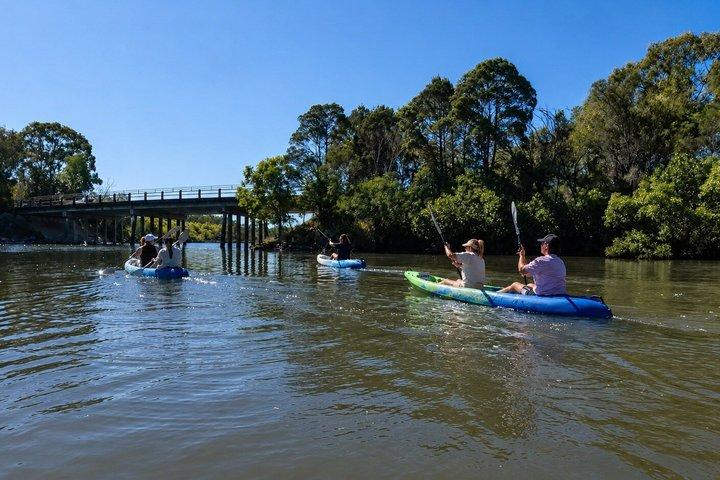 Noosa Heads : Epic Hidden Waterways & Wildlife Kayak Tour