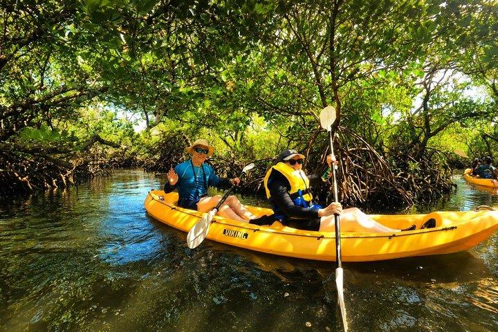 Noosa Heads : Epic Hidden Waterways & Wildlife Kayak Tour