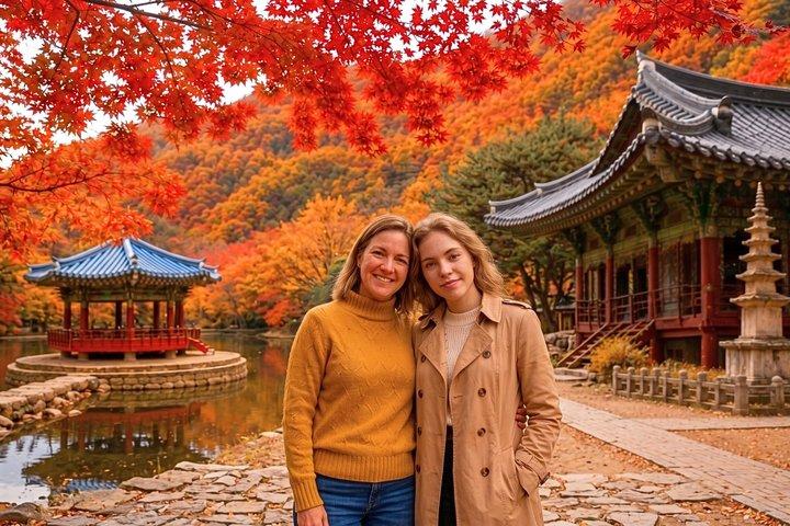 Naejangsan Höstlövverk Dagstur från Seoul eller Busan