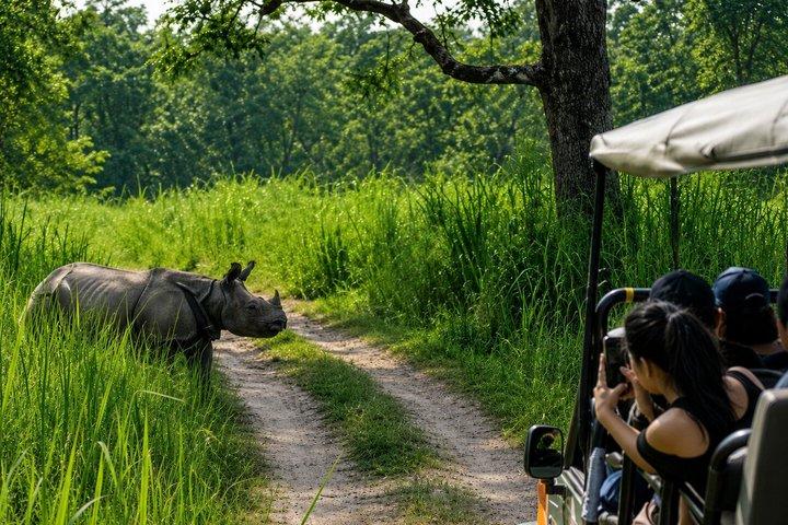 Chitwan National Park Jungle Safari Tours 3 Tage