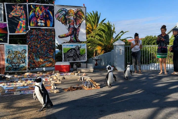 Cape of Good Hope, Cape Point & Penguins Private customizable Full Day Tour
