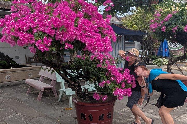 Hoi An Privat Tur