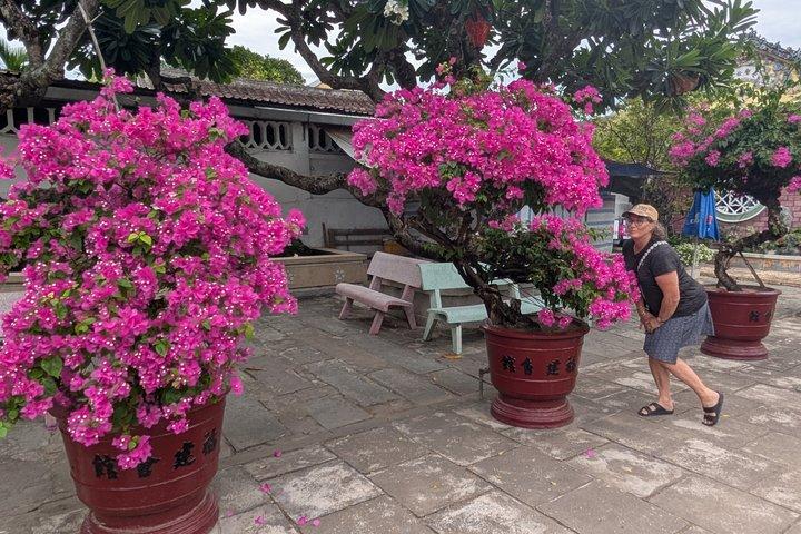 Hoi An Privat Tur