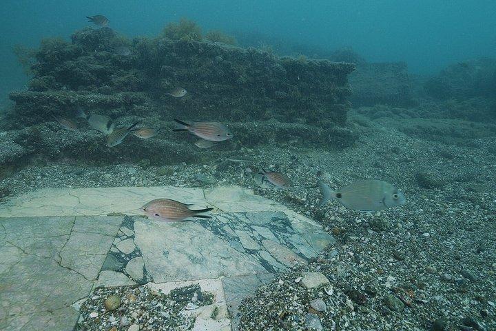 Diving at the Baia Submerged Park for certified divers