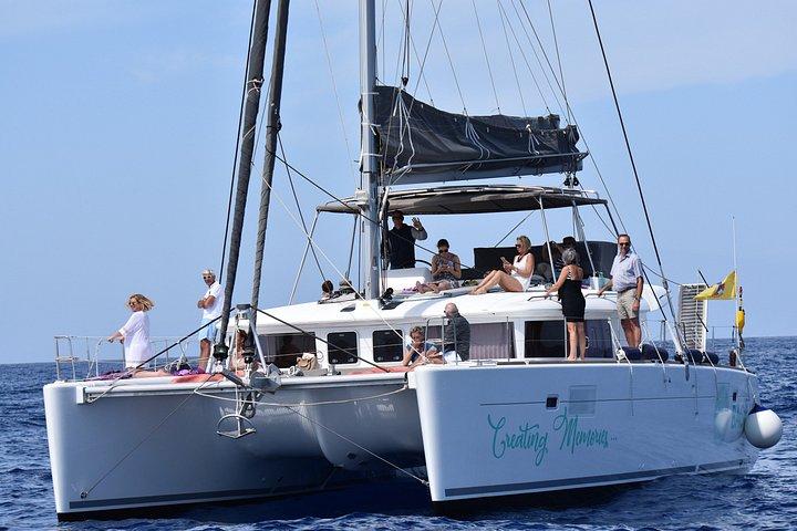 Afternoon Discovery Whale Watching Experience Los Cristianos