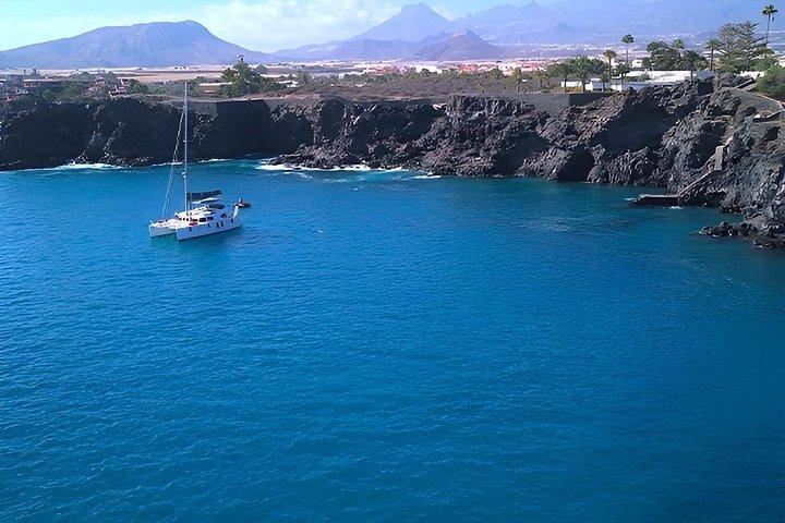 Afternoon Discovery Whale Watching Experience Los Cristianos