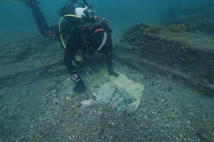 Diving at the Baia Submerged Park for certified divers
