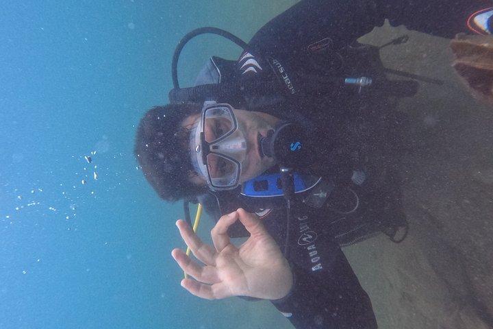 Diving at the Baia Submerged Park for certified divers