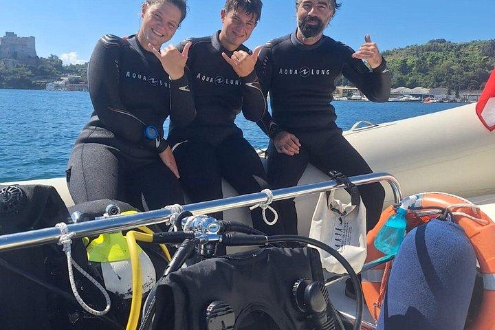 Discover Scuba Diving in the Bay Submerged Park