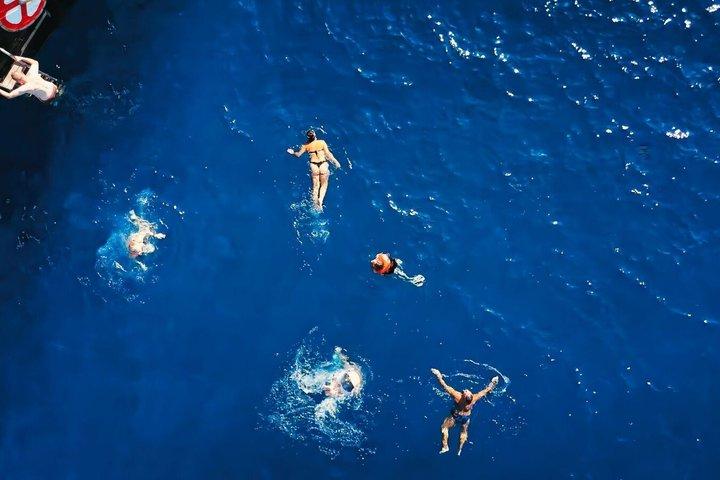 Observação de baleias e golfinhos + natação