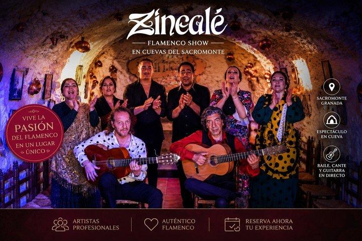 Flamenco Show i Cueva Zincalé