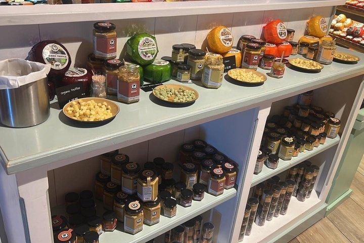 Windmills, Volendam and Cheese Farm Private Tour from Amsterdam