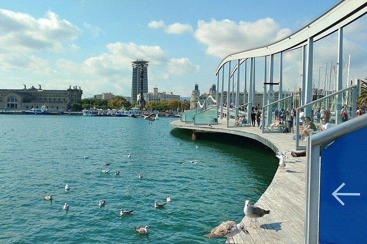 Barcelona Aquarium Ticket e Tour da Cidade Digital