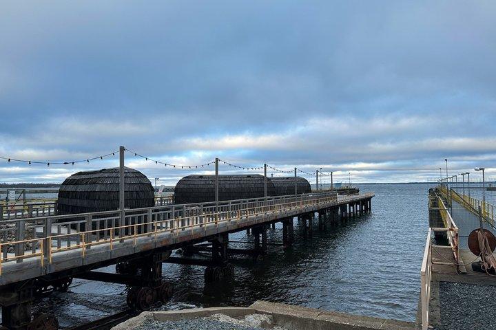 Tour por el Museo de Historias del Mar de Tallin y Exploración del paseo marítimo
