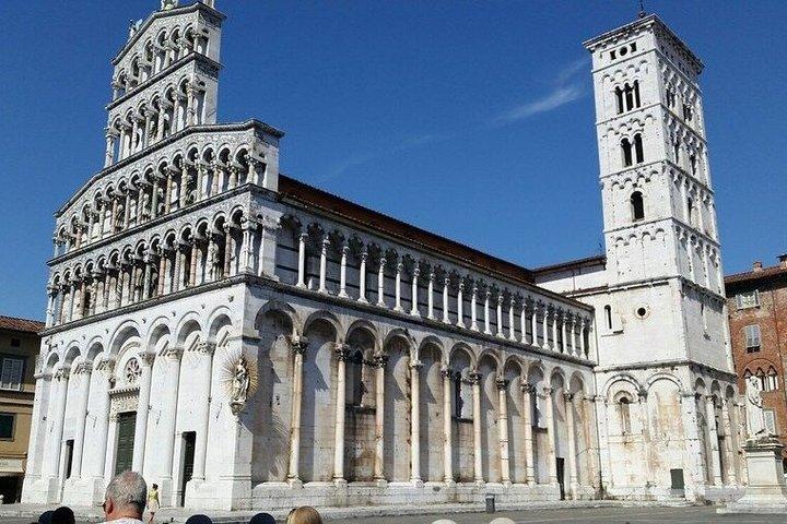 Private Express Tour Pisa e Lucca por Van de Florença