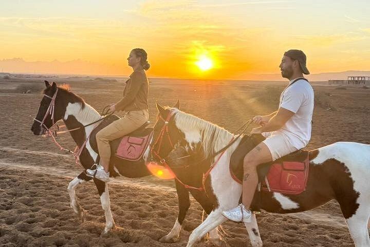 ハルガダ：朝または夕方の乗馬と水泳