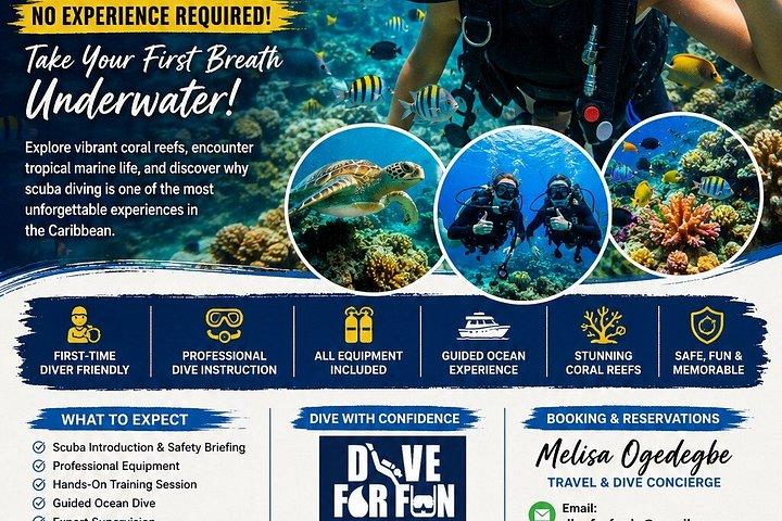 Two Tank Dive in Montego Bay w/Certified Divers