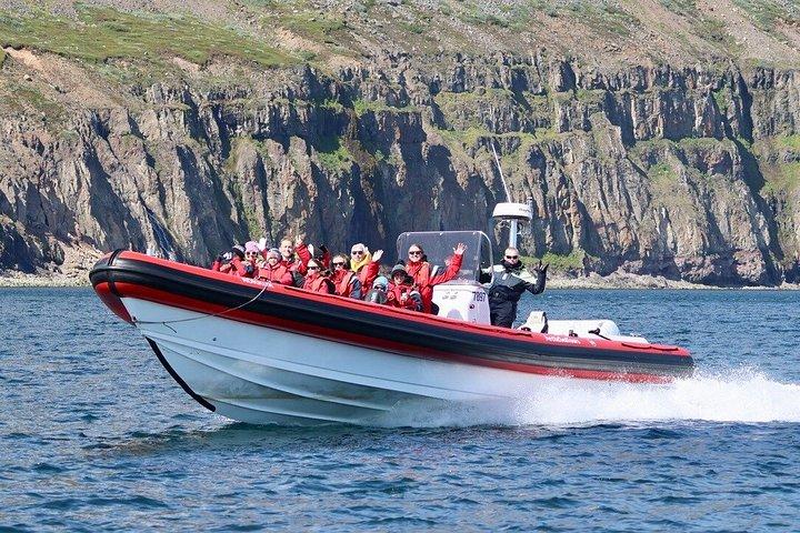 アイスランド北部のアークレイリに近いダルヴィクでホエールウォッチングを楽しもう