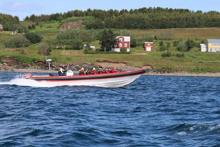 アイスランド北部のアークレイリに近いダルヴィクでホエールウォッチングを楽しもう