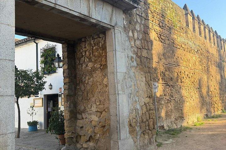 中庭、ユダヤ人街、シナゴーグ：最も本格的なコルドバ