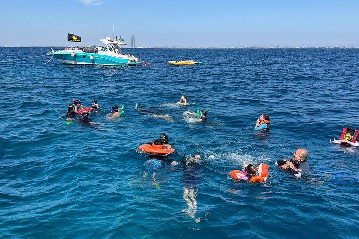 Try Scuba Diving in the Red Sea with Mermates