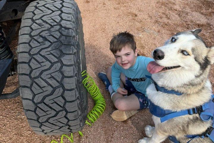 ハスキーとアリゾナ砂漠のプライベートジープオフロードアドベンチャー