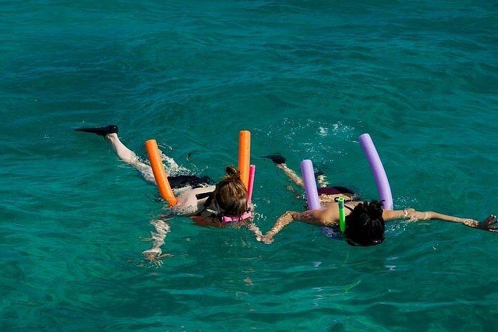 キーウェストで浅瀬シュノーケリングとイルカウォッチング