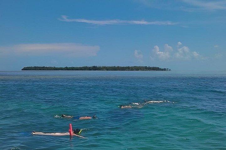 キーウェストで浅瀬シュノーケリングとイルカウォッチング