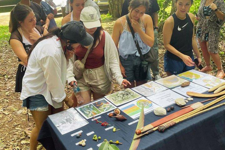 Atherton Tablelands : 2 - Visite privée de la culture autochtone d'une heure