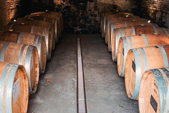 Privat Chianti vintur