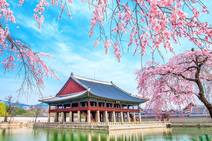Private halbtägige Seoul Tour Gyeongbokgung Palace und Blue House