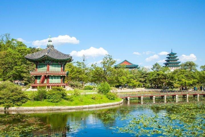 Private halbtägige Seoul Tour Gyeongbokgung Palace und Blue House