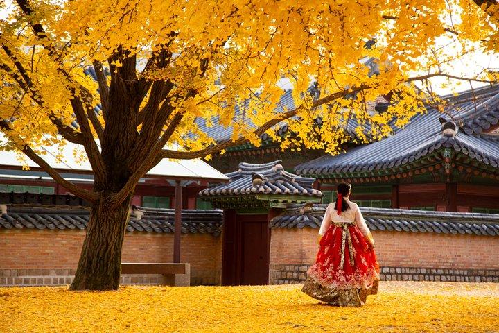 Private halbtägige Seoul Tour Gyeongbokgung Palace und Blue House