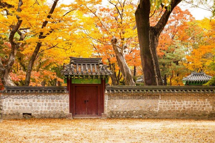 Privat halvdagstur till Seoul Changdeokgung Palace och Bukchon