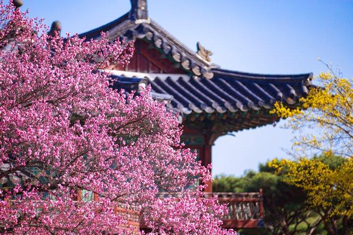 Privat halvdagstur till Seoul Changdeokgung Palace och Bukchon