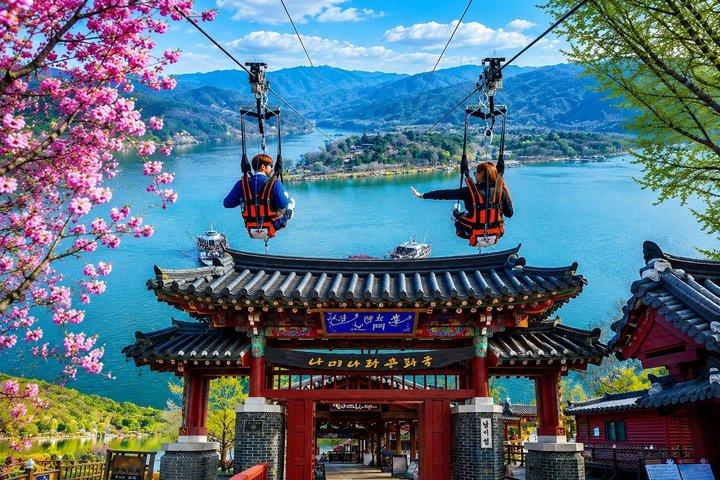 アルパカワールド＆ナミ島＆レールバイクへのプライベートツアー（チケット付き）