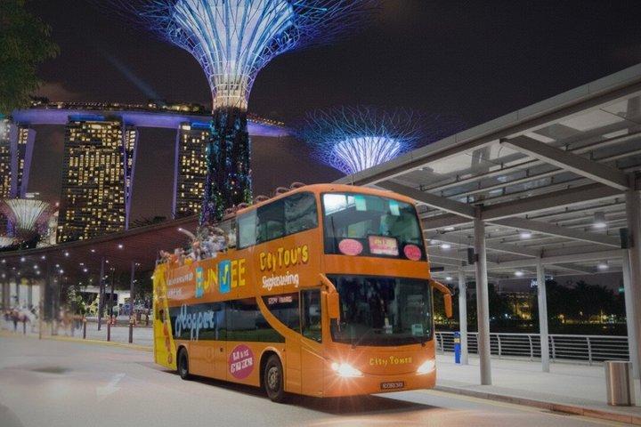 Singapore City Lights Tour notturno aperto di 1 ora