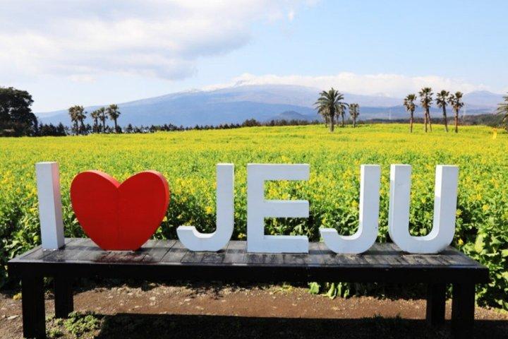 Jeju South and West Highlights Tour with Hallasan and Lava Cliff