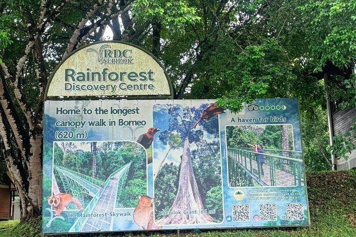 セピロク・オランウータンと熱帯雨林ディスカバリーセンター終日ツアー