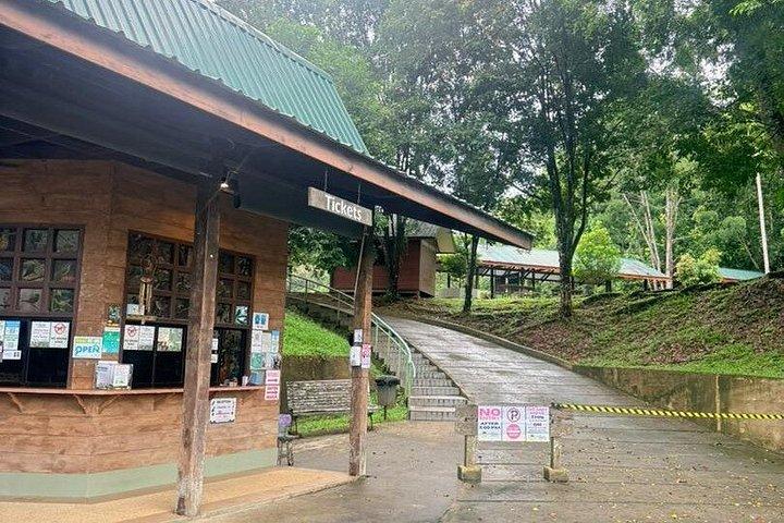 セピロク・オランウータンと熱帯雨林ディスカバリーセンター終日ツアー