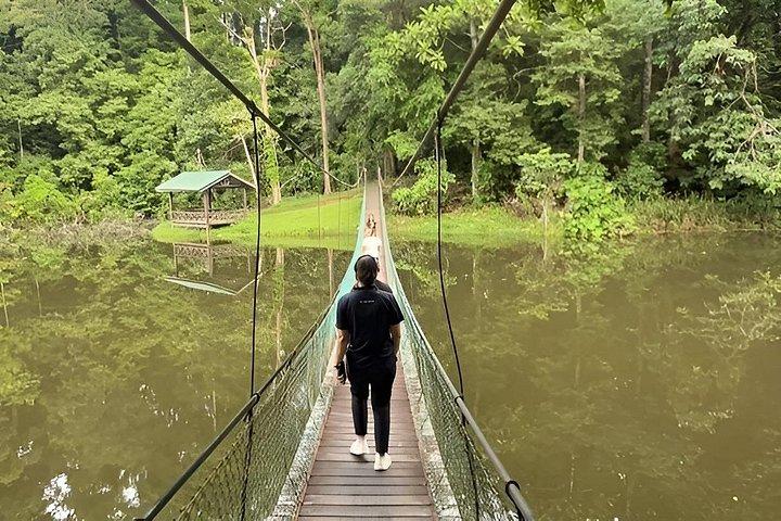 セピロク・オランウータンと熱帯雨林ディスカバリーセンター終日ツアー