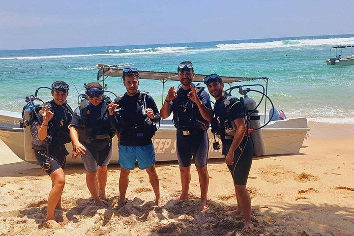 Guided Turtle Snorkelling Experience in Mirissa