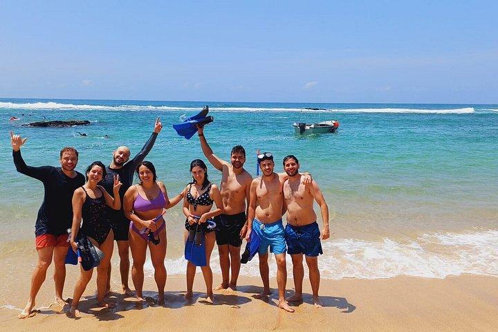 Guided Turtle Snorkelling Experience in Mirissa