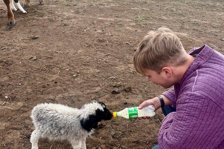 4 Day Nomadic Life Experience In Northern Mongolian