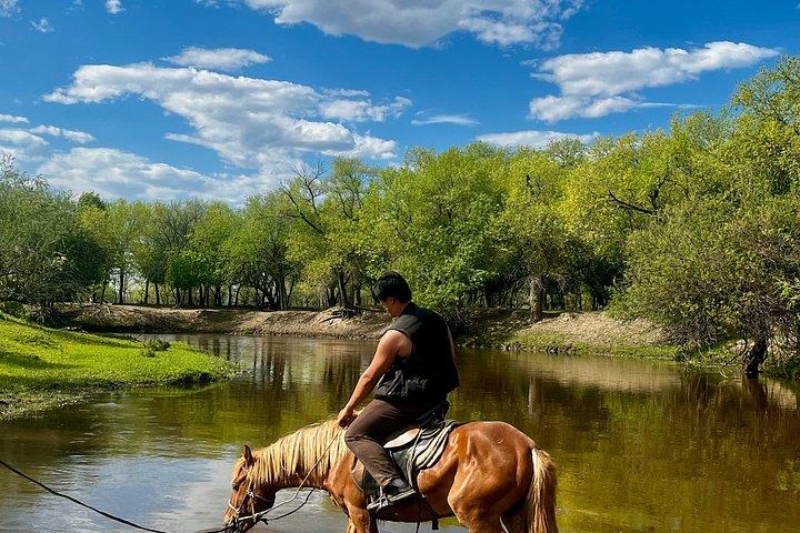 4 Day Nomadic Life Experience In Northern Mongolian